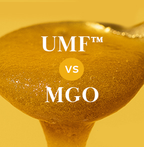 difference-between-umf-and-mgo