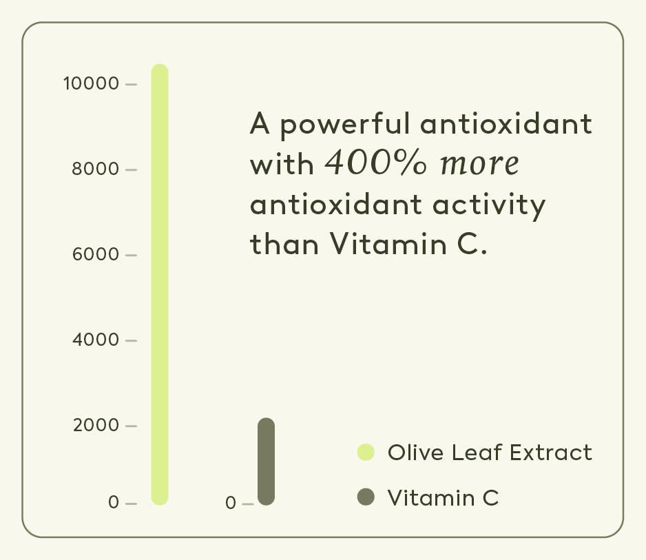 Graph showing Olive Leaf has 400% more antioxidant activity than vitamin C