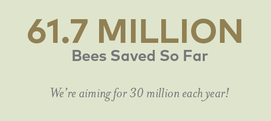 61 MILLION Bees Savedso far. We’re aiming for 30 million each year