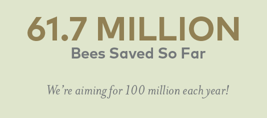 56 MILLION  Bees Saved so far We’re aiming for 100 million each year