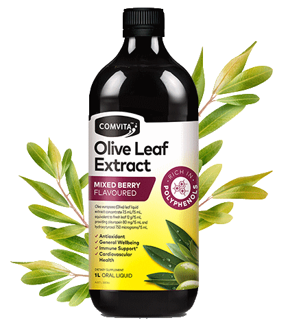 Mixed Berry Flavour 1L - Fresh-Picked Olive Leaf Extract bottle front