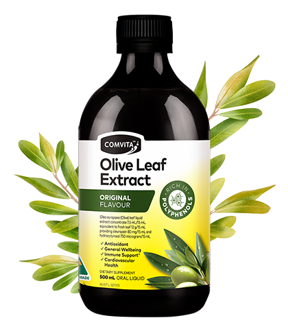 Original Flavour 500ml - Fresh-Picked Olive Leaf Extract bottle front