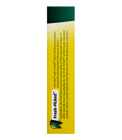 Lozenges 12s - Olive Leaf Extract with Manuka Honey BOX right