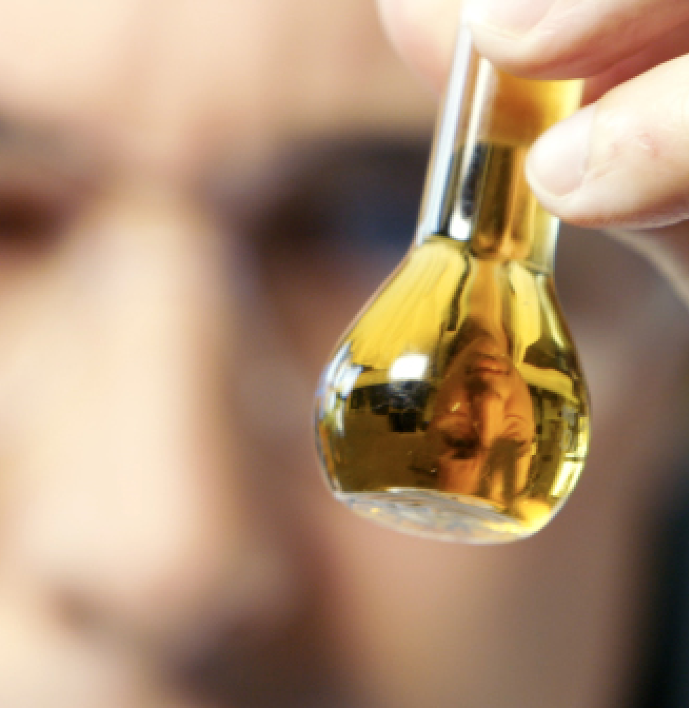 olive leaf in science beaker