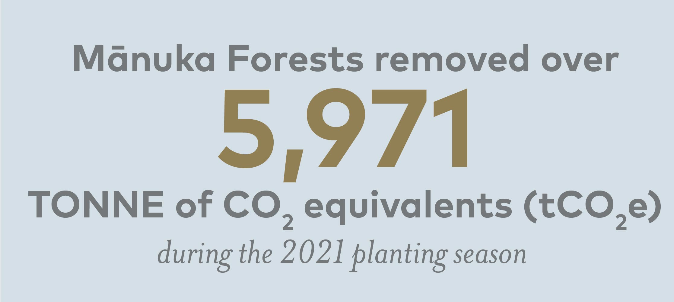 Mānuka Forests removed over5,971 TONNE of CO2 equivalents (tCO2e) during the 2021 planting season 