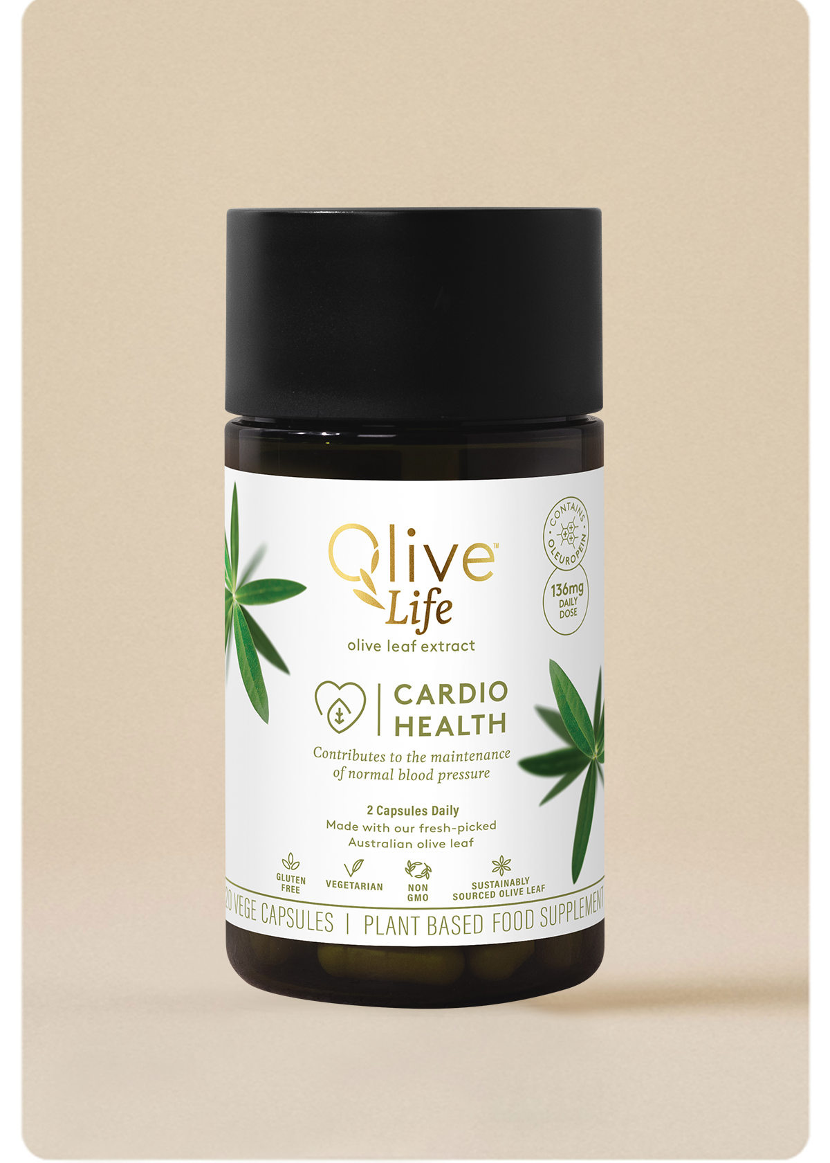olive life 120 capsules
