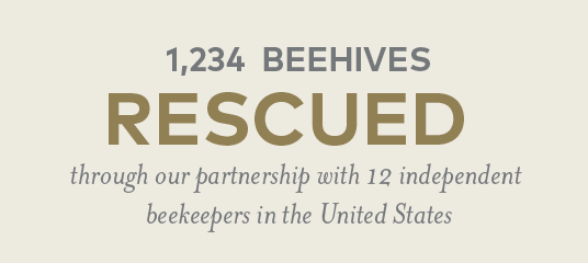 1167 beehives rescued through our partnership with 12 independent beekeeper in the US