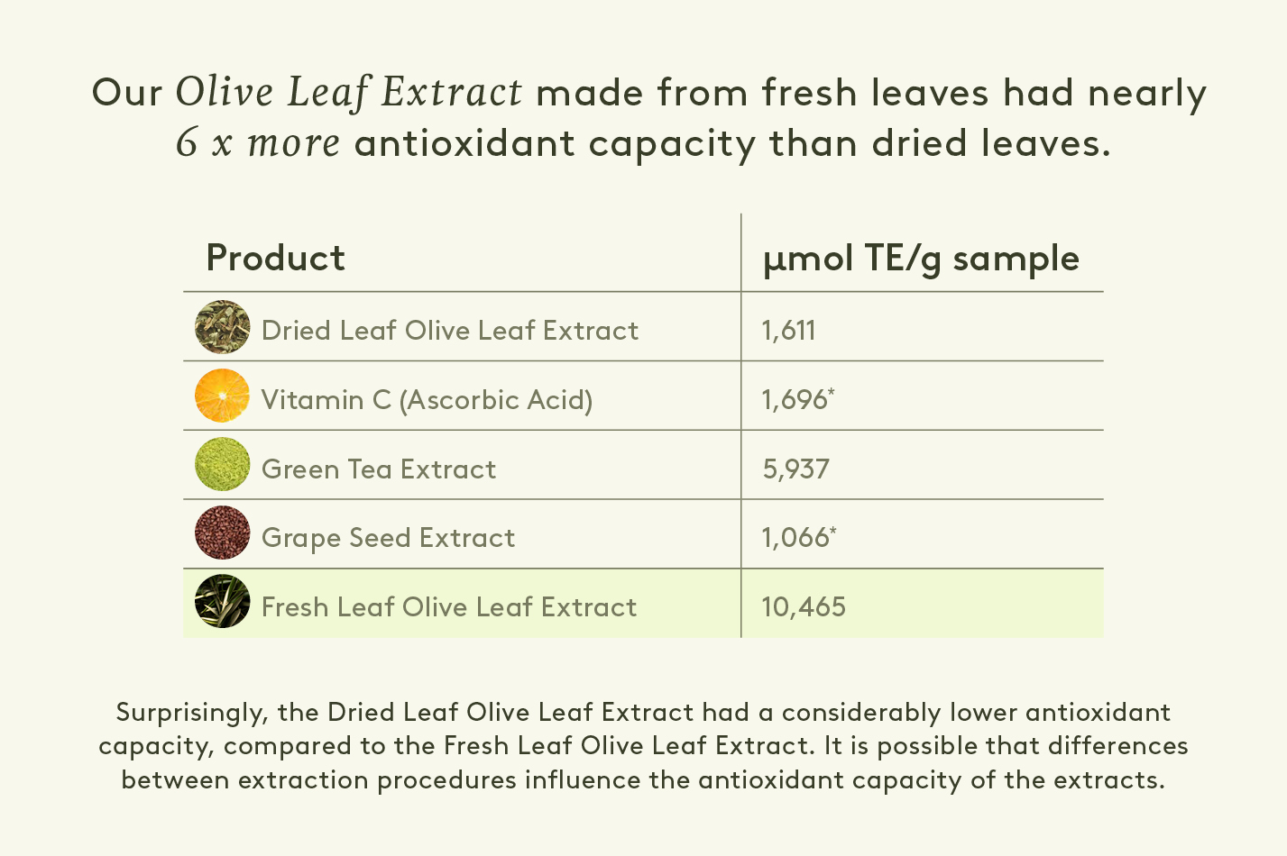 Fresh Picked Olive lieaf has 6 x more antioxidant capacity than dried leaves