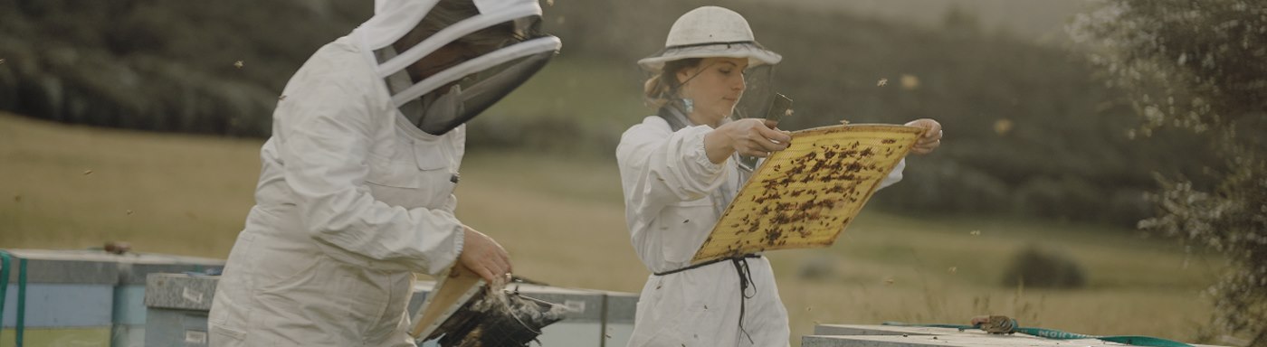 Comvita careers beekeepers working iamge