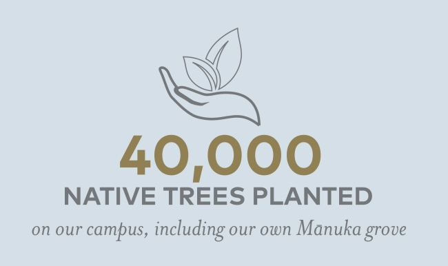 40,000 native trees planted