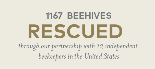 1167 beehives rescued through our partnership with 12 independent beekeeper in the US
