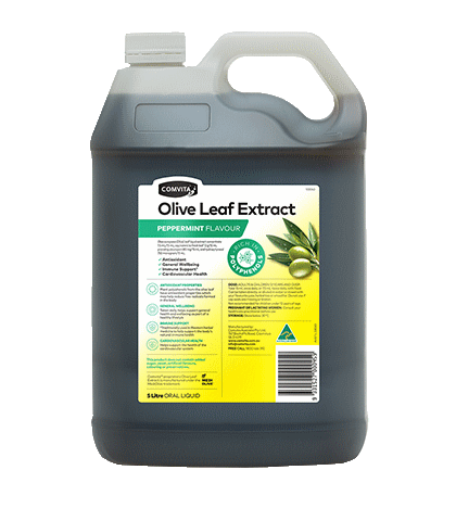Peppermint Flavour 5L - Fresh-Picked Olive Leaf Extract bottle front