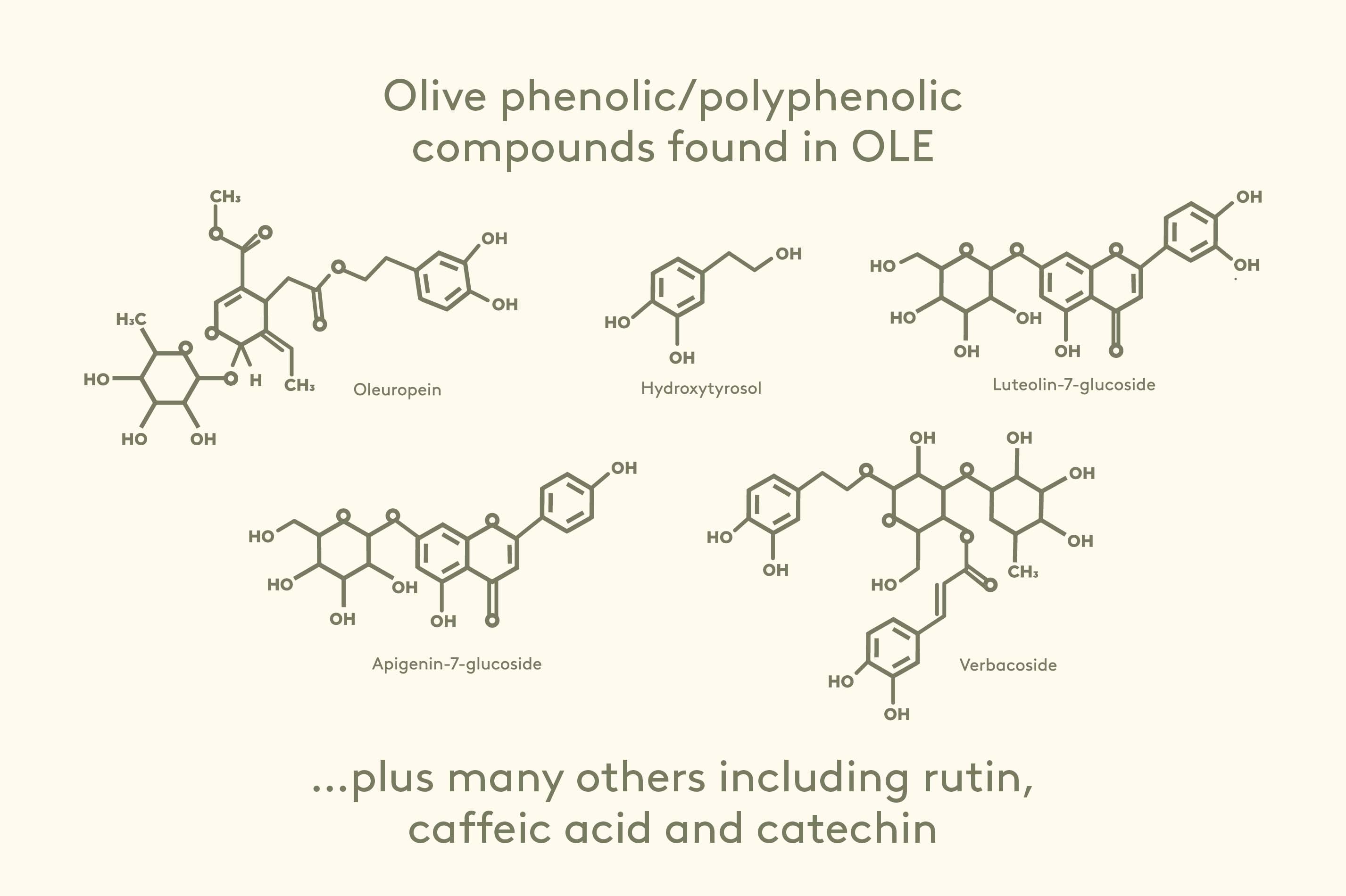 Compounds found in Olive Leaf Extract