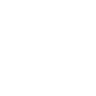 PLANT BASED icon