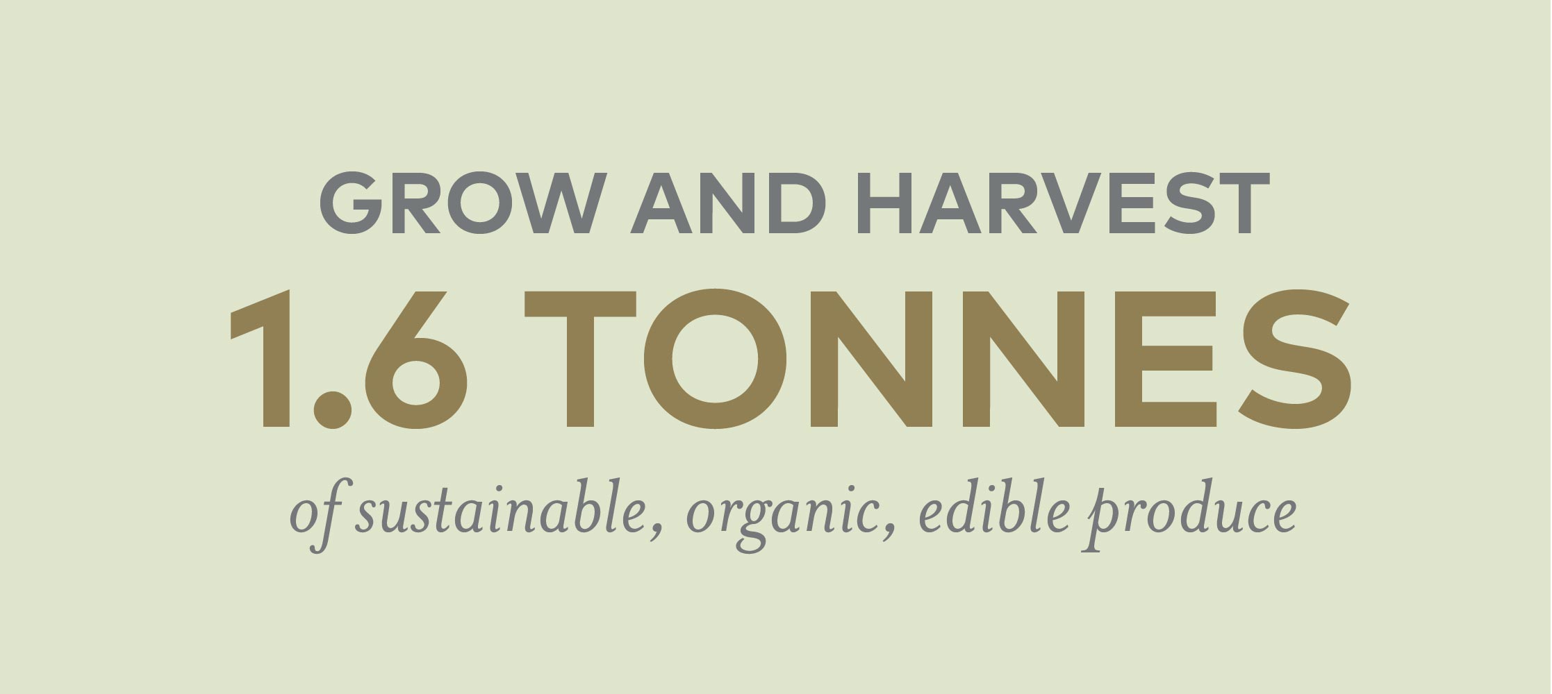 1.6 tonnes of produce grown and harvested