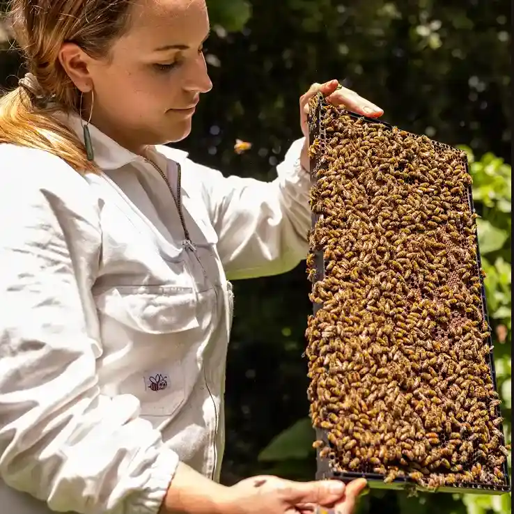 beekeeper with a hive