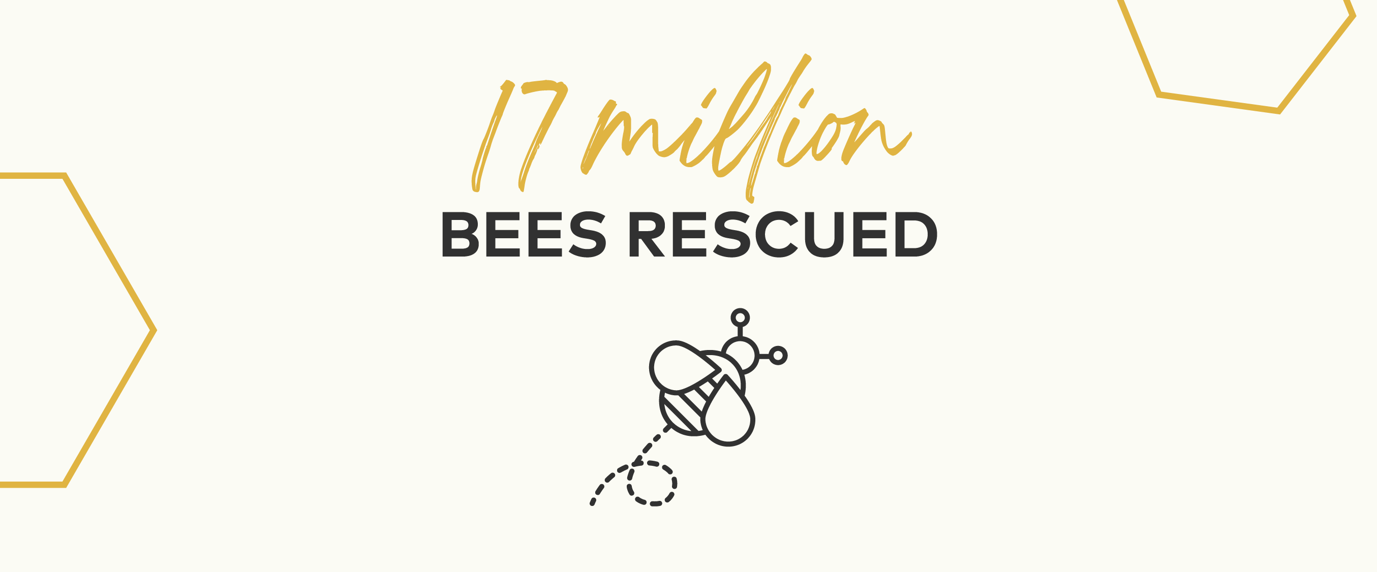 17 Million Bees Rescued