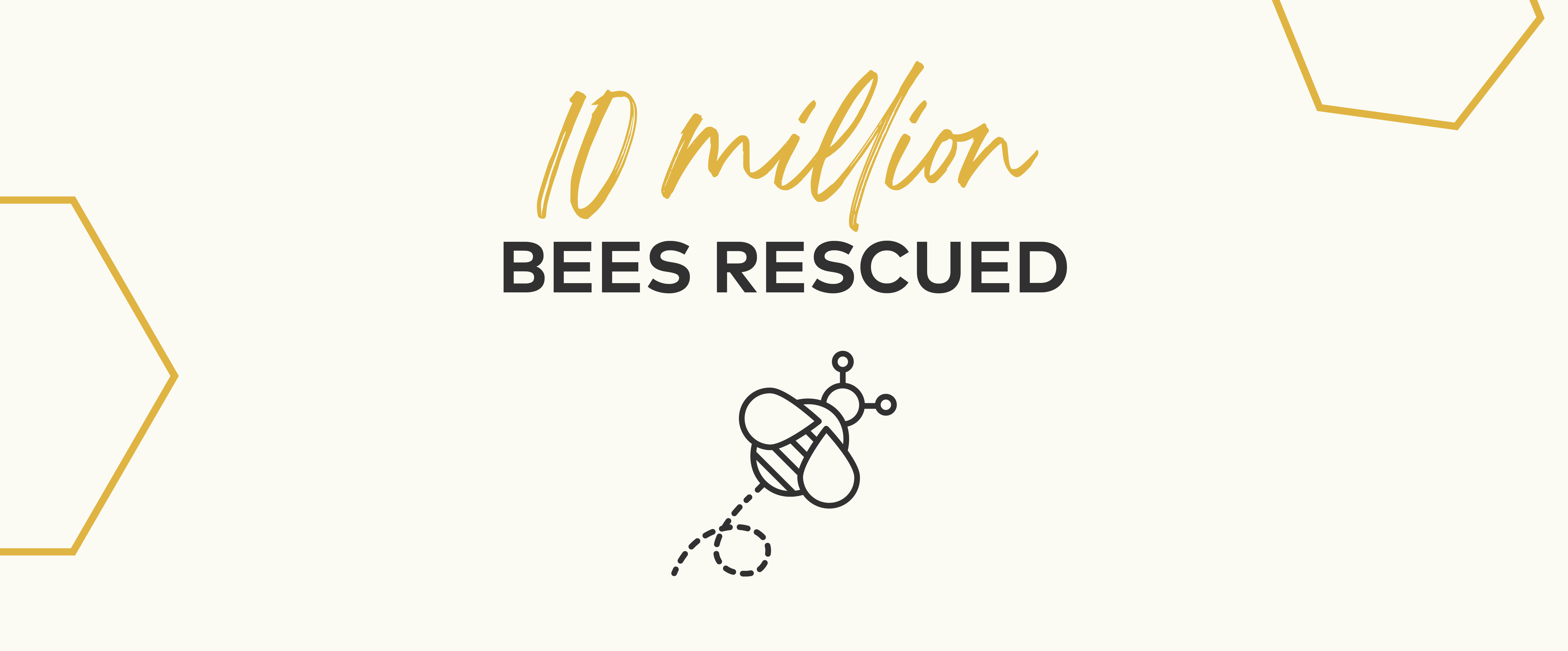 10 Million Bees Rescued