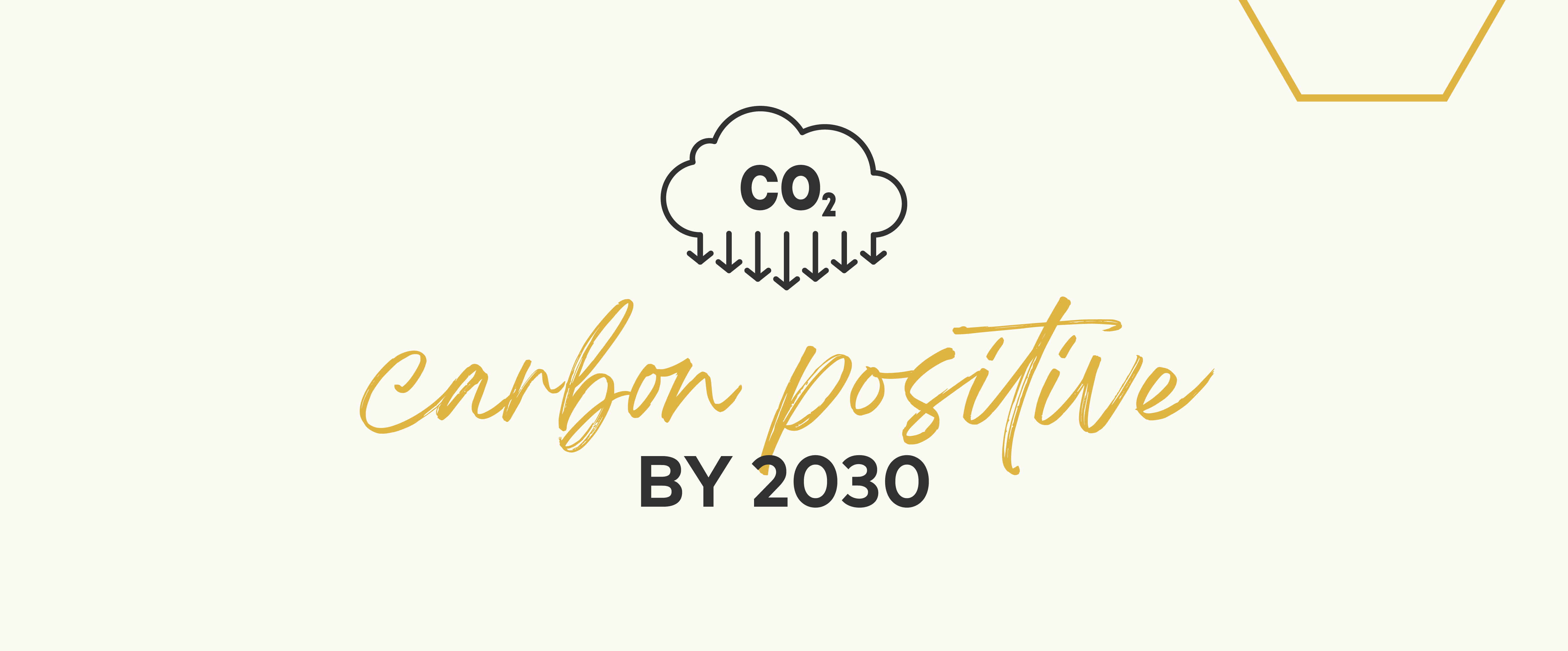 Carbon positive by 2030