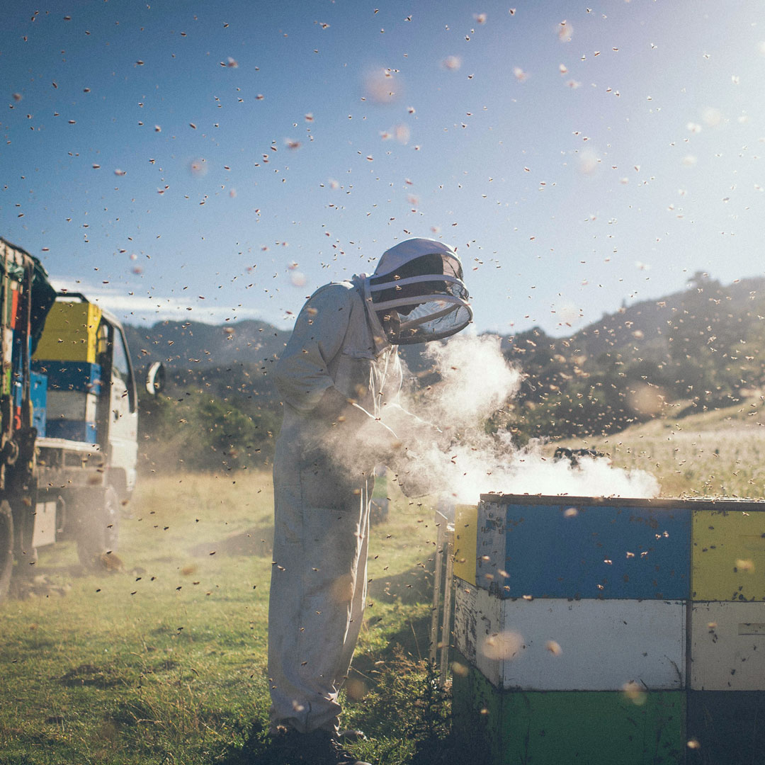 beekeeper in field with bee hives