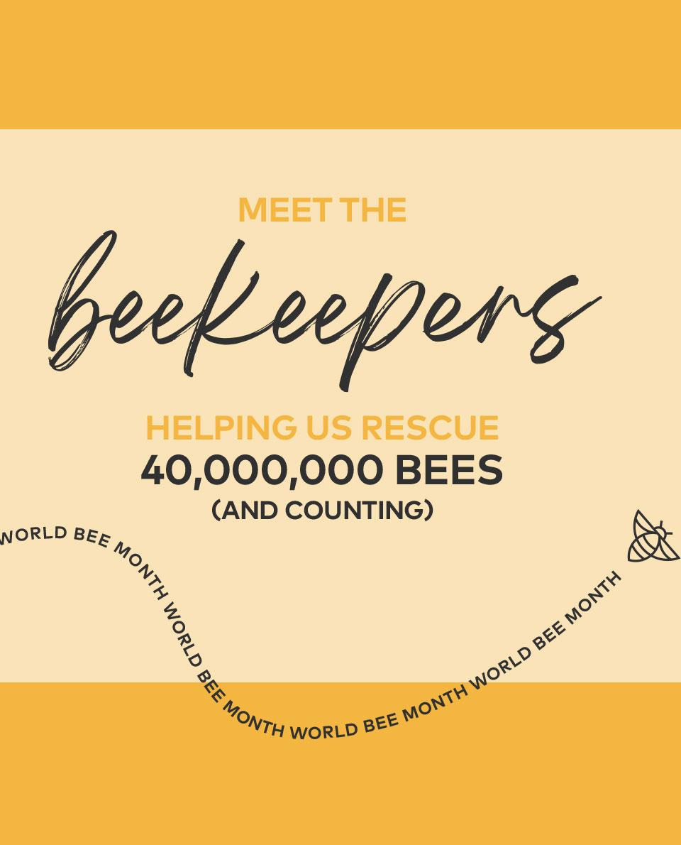 Meet the Beekeepers rescuing 40 millions bees