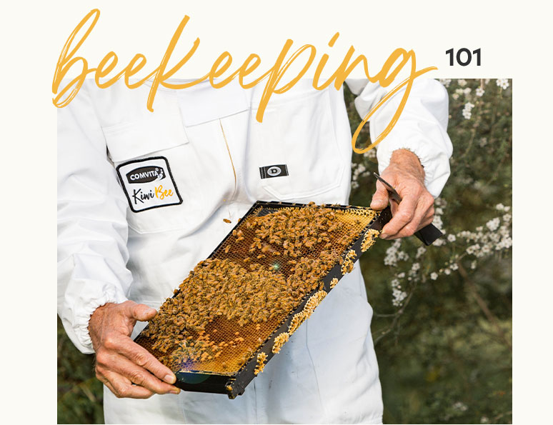 Beekeeping 101