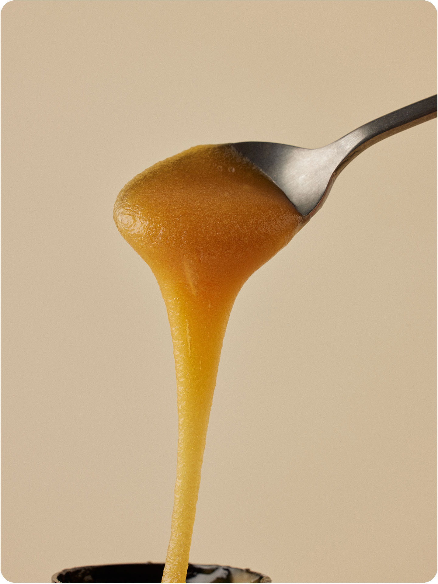 UMF™ 18+ Mānuka Honey 8.8 oz