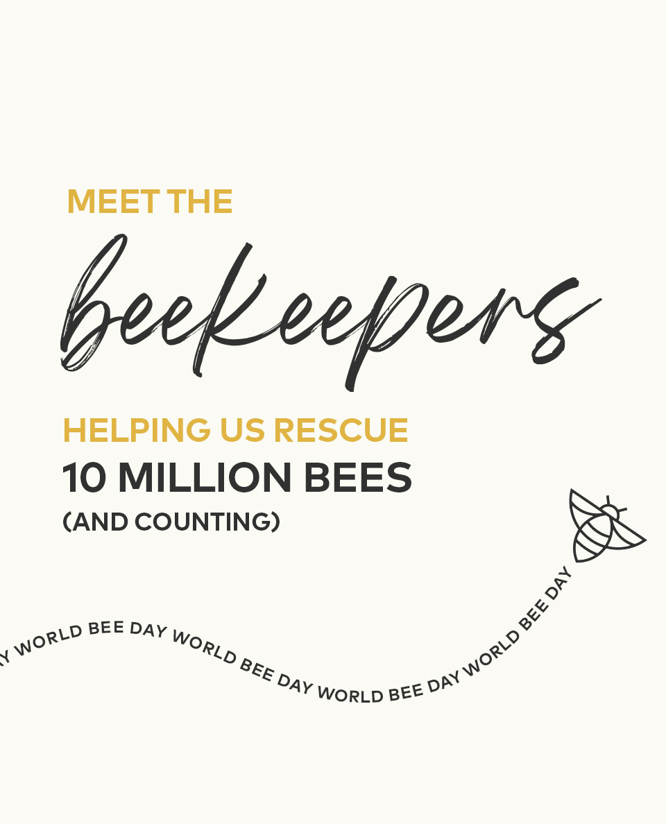 Meet the Beekeepers rescuing 10 millions bees